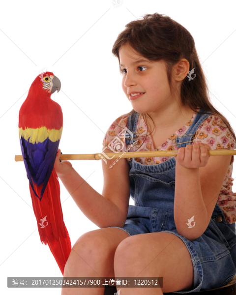 與Parrot擺姿勢