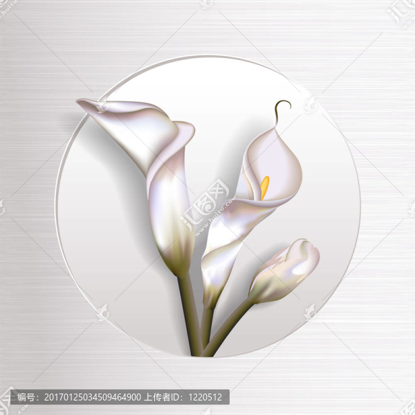 卡拉斯在框架