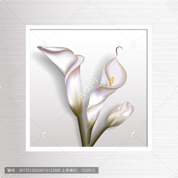 卡拉斯在框架