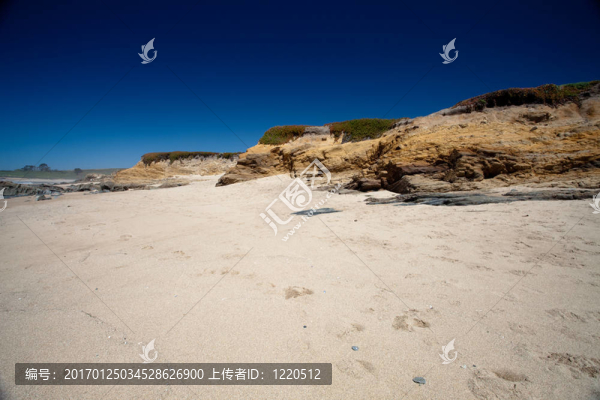 太平洋海灘