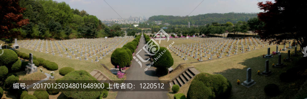 墓地全景