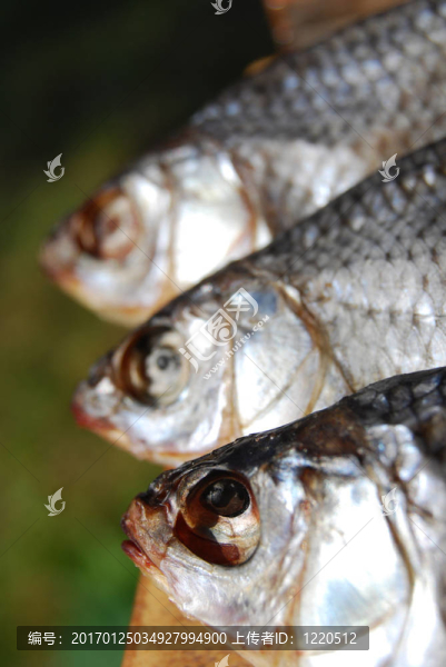 三干魚