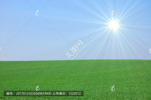 綠色景觀
