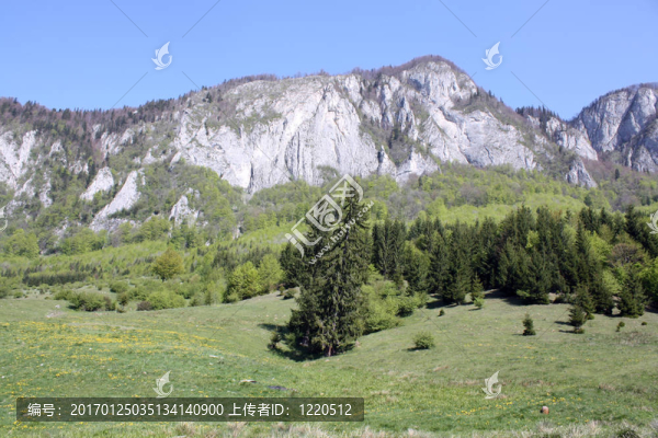 山地景觀
