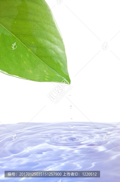 健康與健康概念