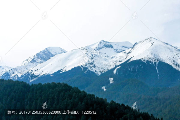 山地景觀