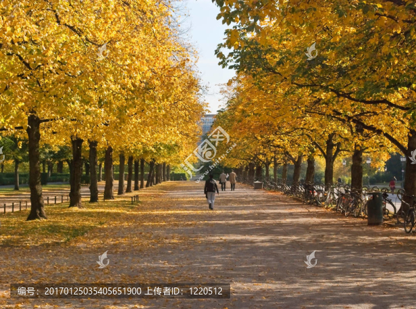 宮廷花園