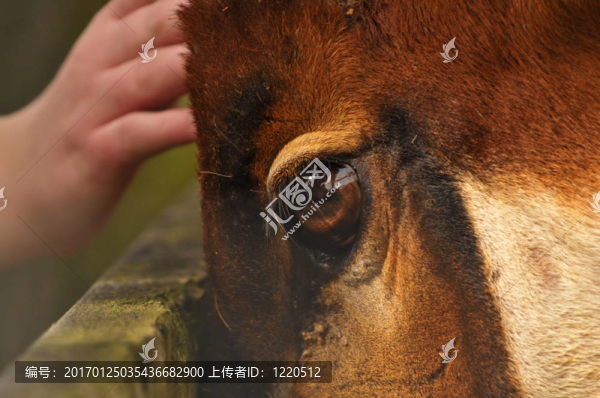 人情味