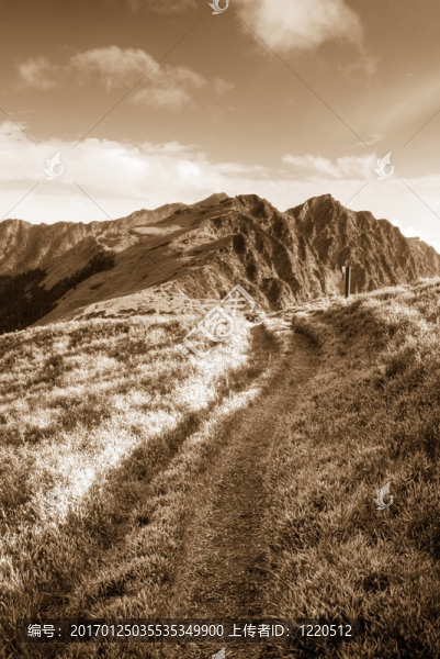 通往山的路