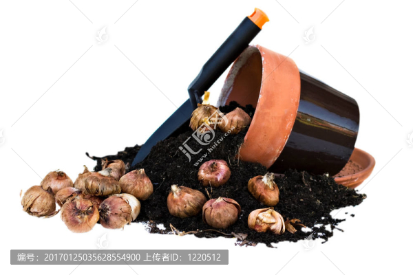 Clay,Pots和花燈泡-匯圖網(wǎng) www.fosd68.com Clay,Pots和花燈泡