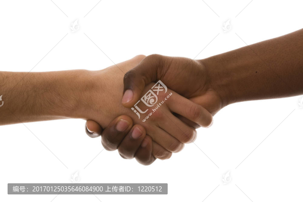 multirracial握手