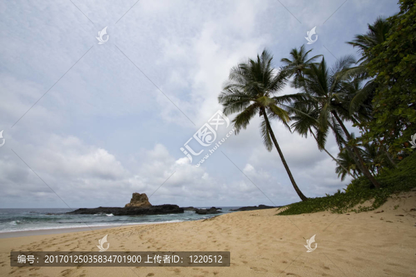 夏日樂園景觀