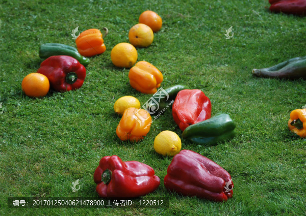蔬菜