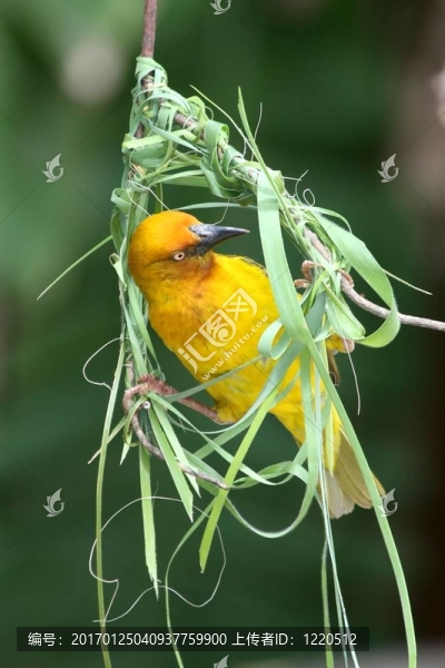 這要去哪里？