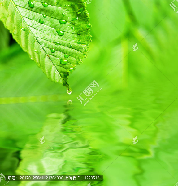 綠色表-匯圖網(wǎng) www.fosd68.com 綠色表