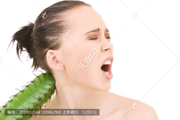 仙人掌