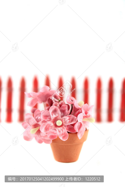 微型花卉裝飾
