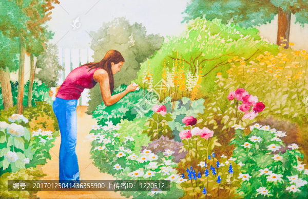 花園里的花
