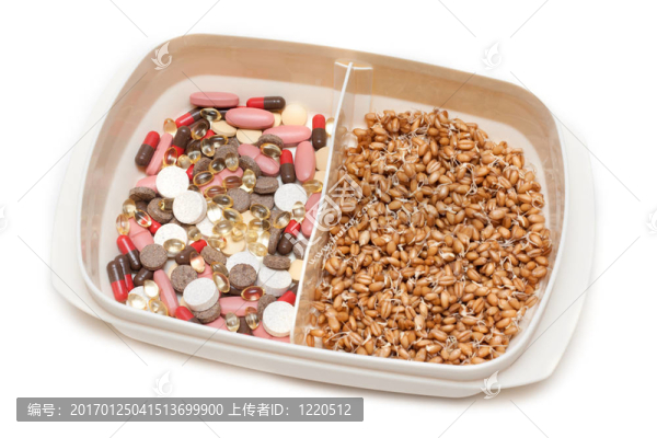 丸；片對(duì)小麥