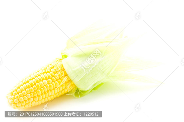 玉米穗