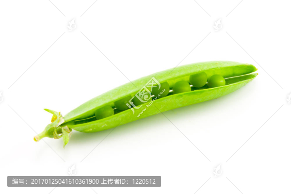 豆莢-匯圖網(wǎng) www.fosd68.com 豆莢