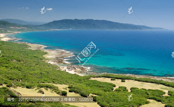 藍(lán)色海洋的綠地