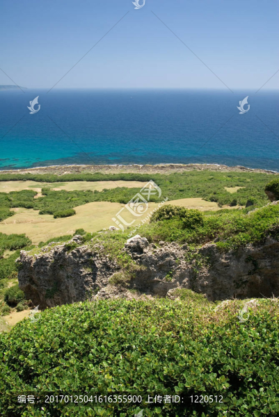 藍(lán)色海洋的綠地