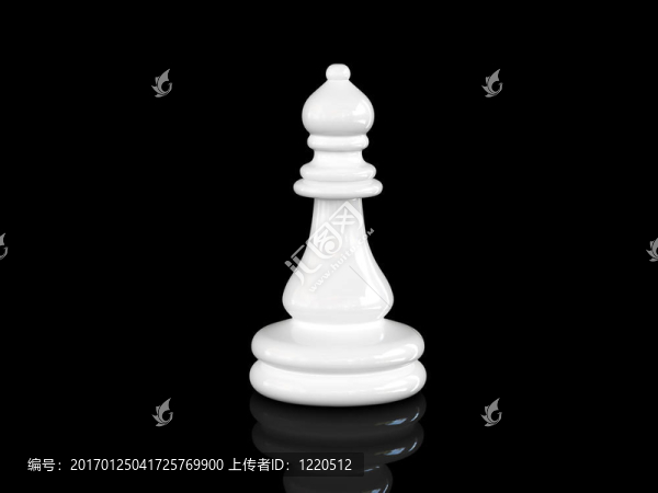 國際象棋的象