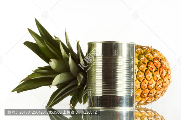 菠蘿
