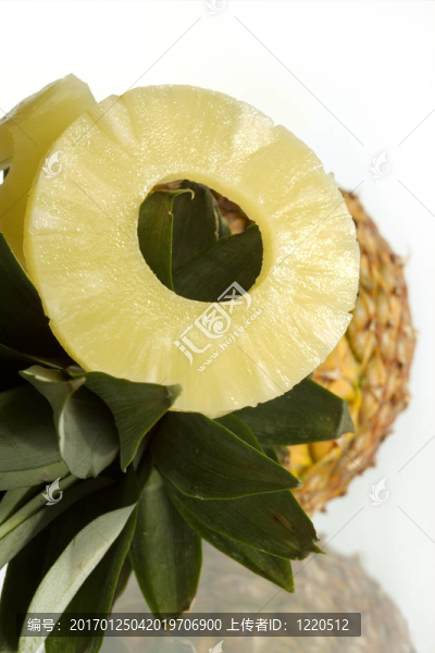 菠蘿