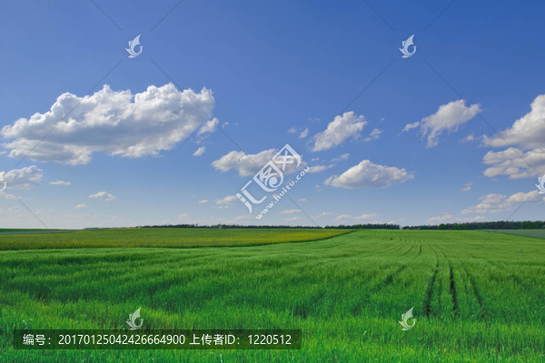 農(nóng)田