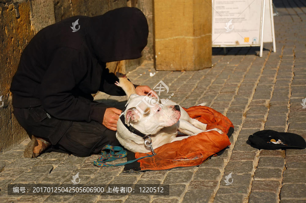 你丟硬幣了嗎？