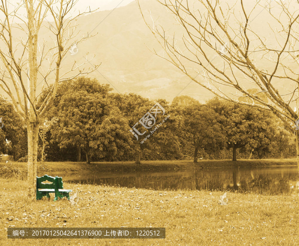 景觀