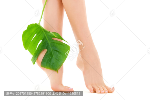 綠葉女腳