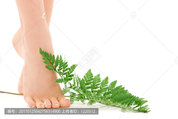 綠葉女腳