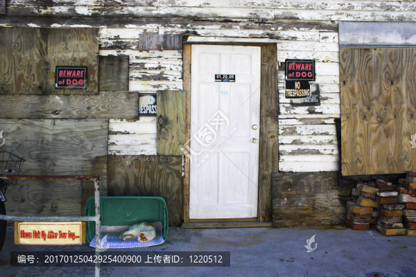 老建筑和貓