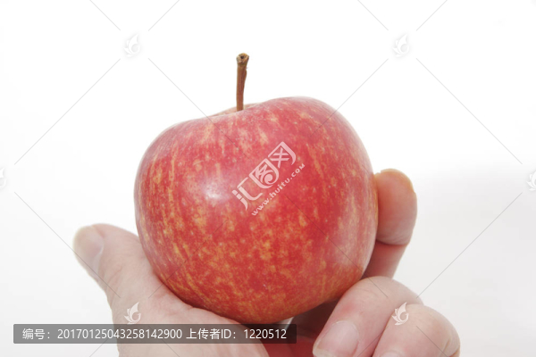 蘋果白