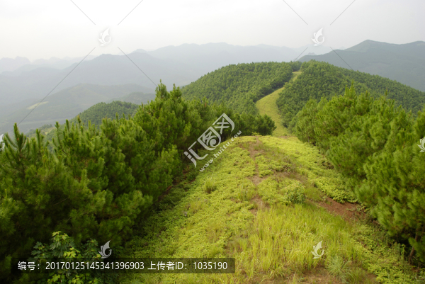 山林防火道
