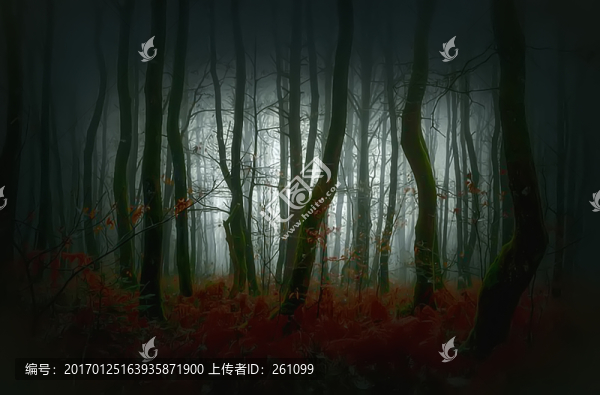 裝飾畫