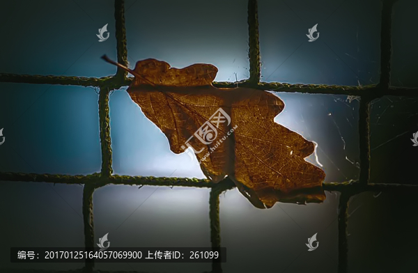 裝飾畫