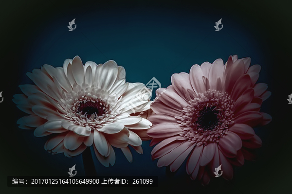 裝飾畫(huà)