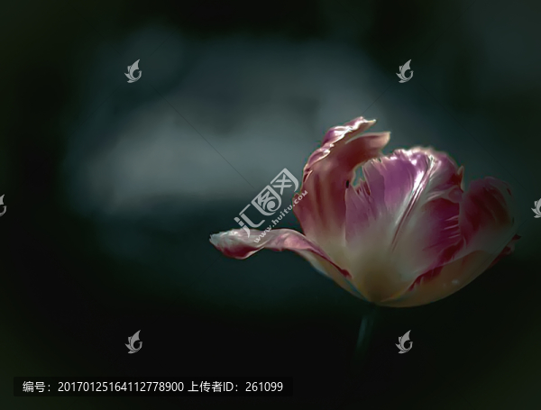 裝飾畫