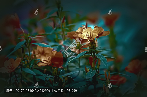 裝飾畫