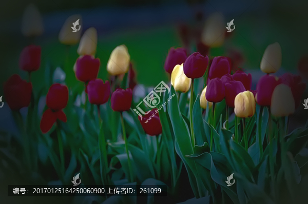 裝飾畫