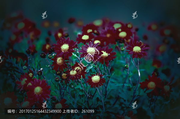 裝飾畫