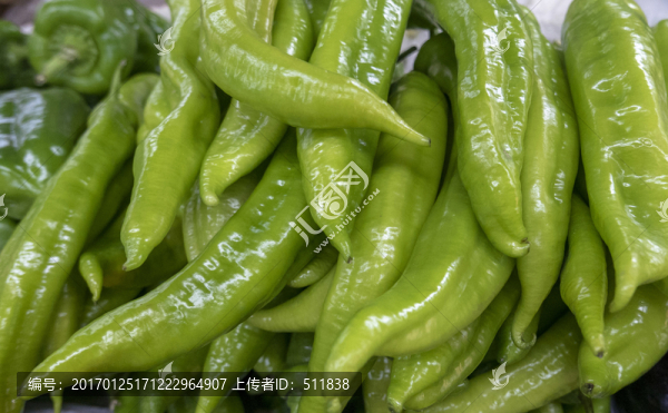 青椒