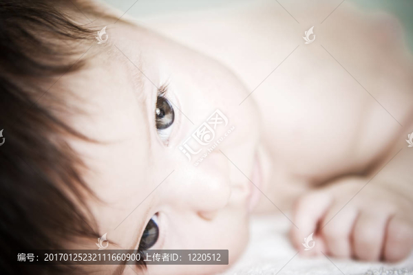 可愛的小寶貝
