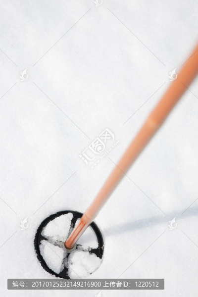 滑雪桿