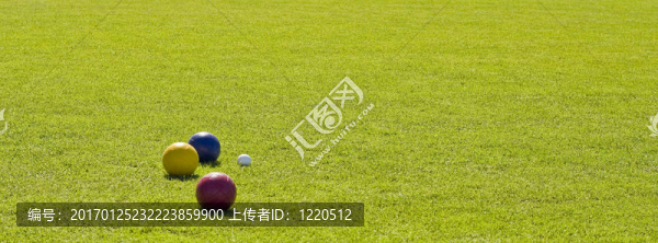 綠草上的球