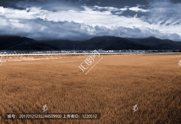 米黃色的背景